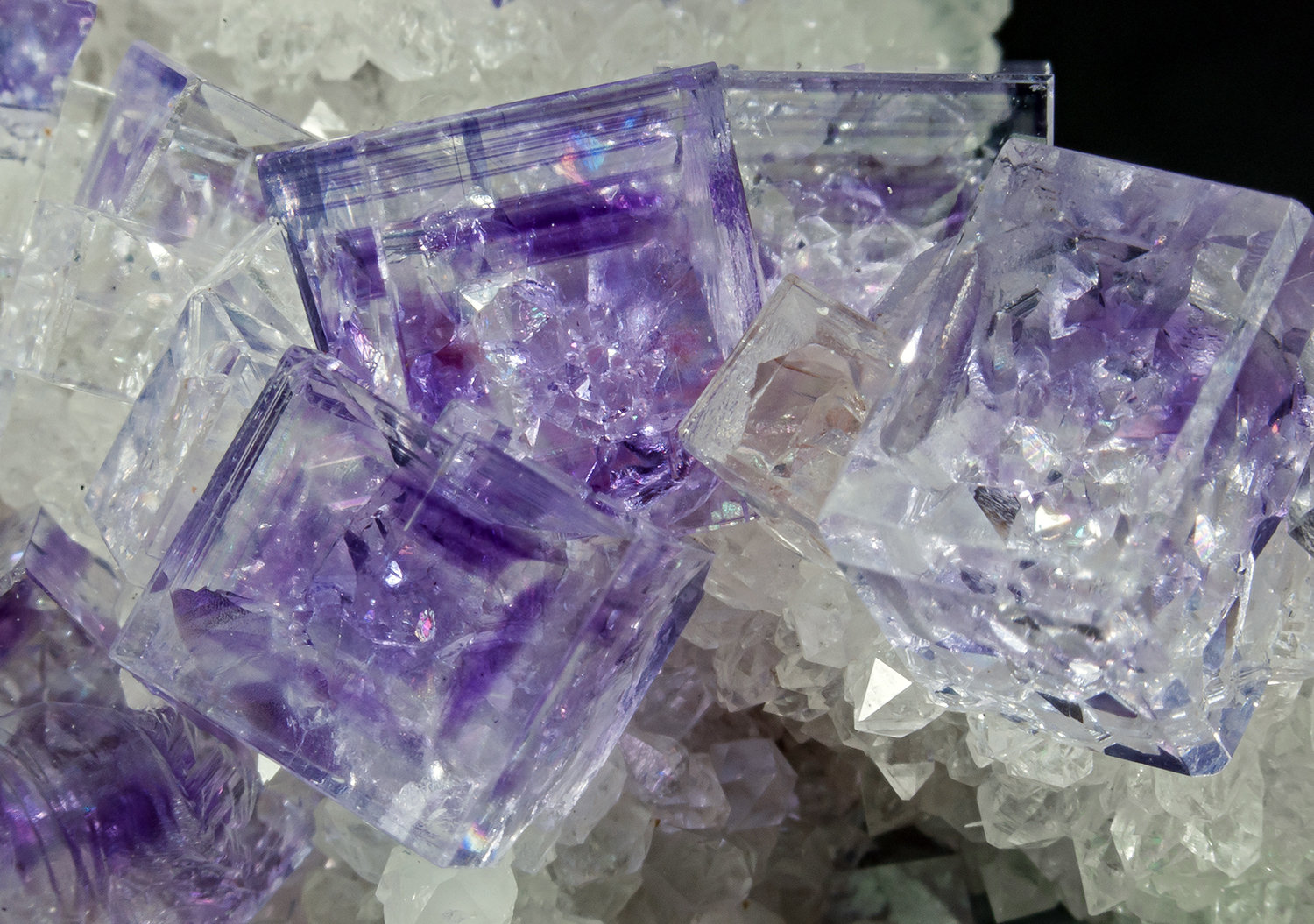 Fluorita en Cuarzo
el cristal mayor mide: 0.6 × 0.5 cm
(Autor: Jordi Fabre)