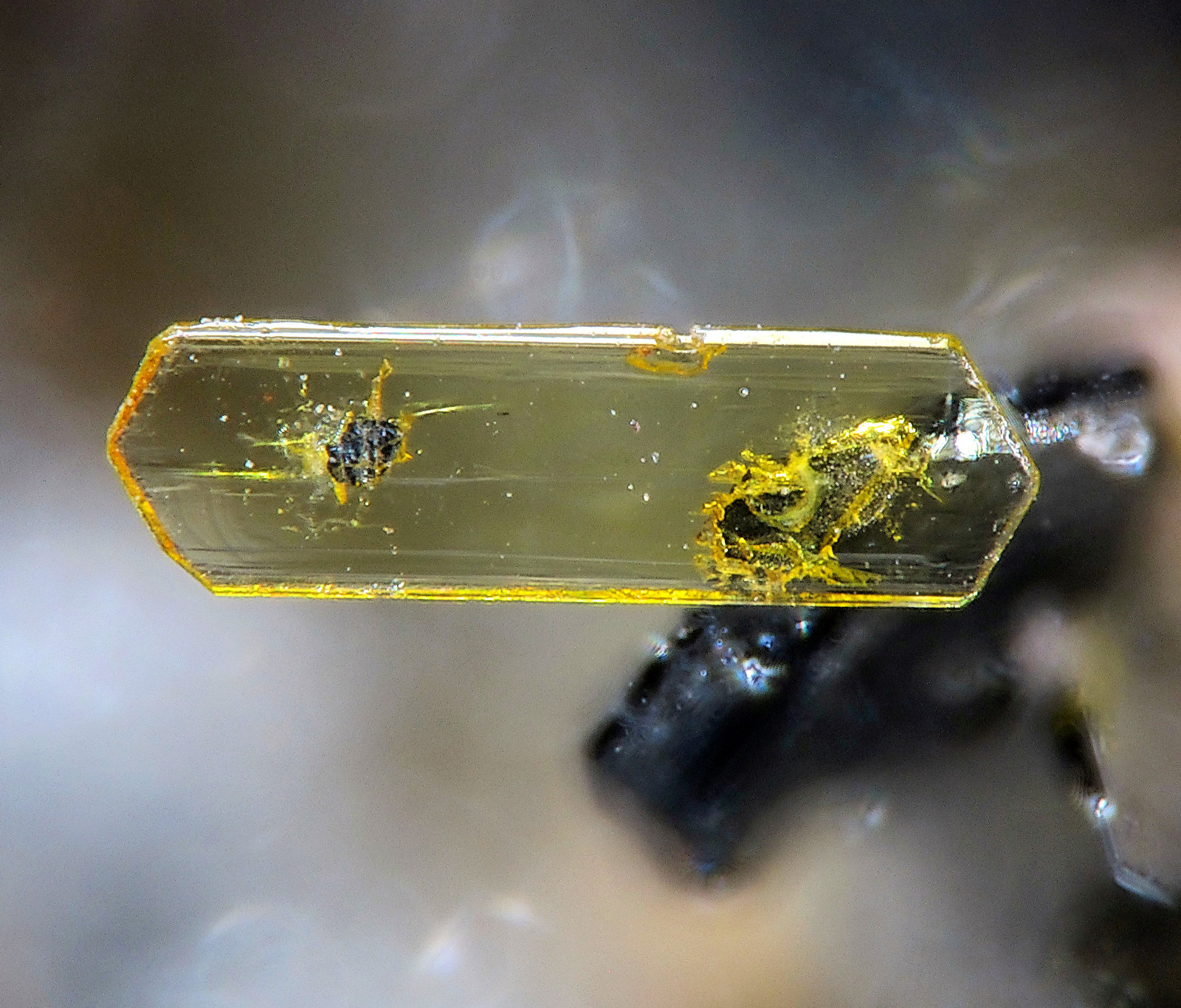 Fluoro-Edenita
fov 0,4 mm
(Autor: Jordi Fabre)