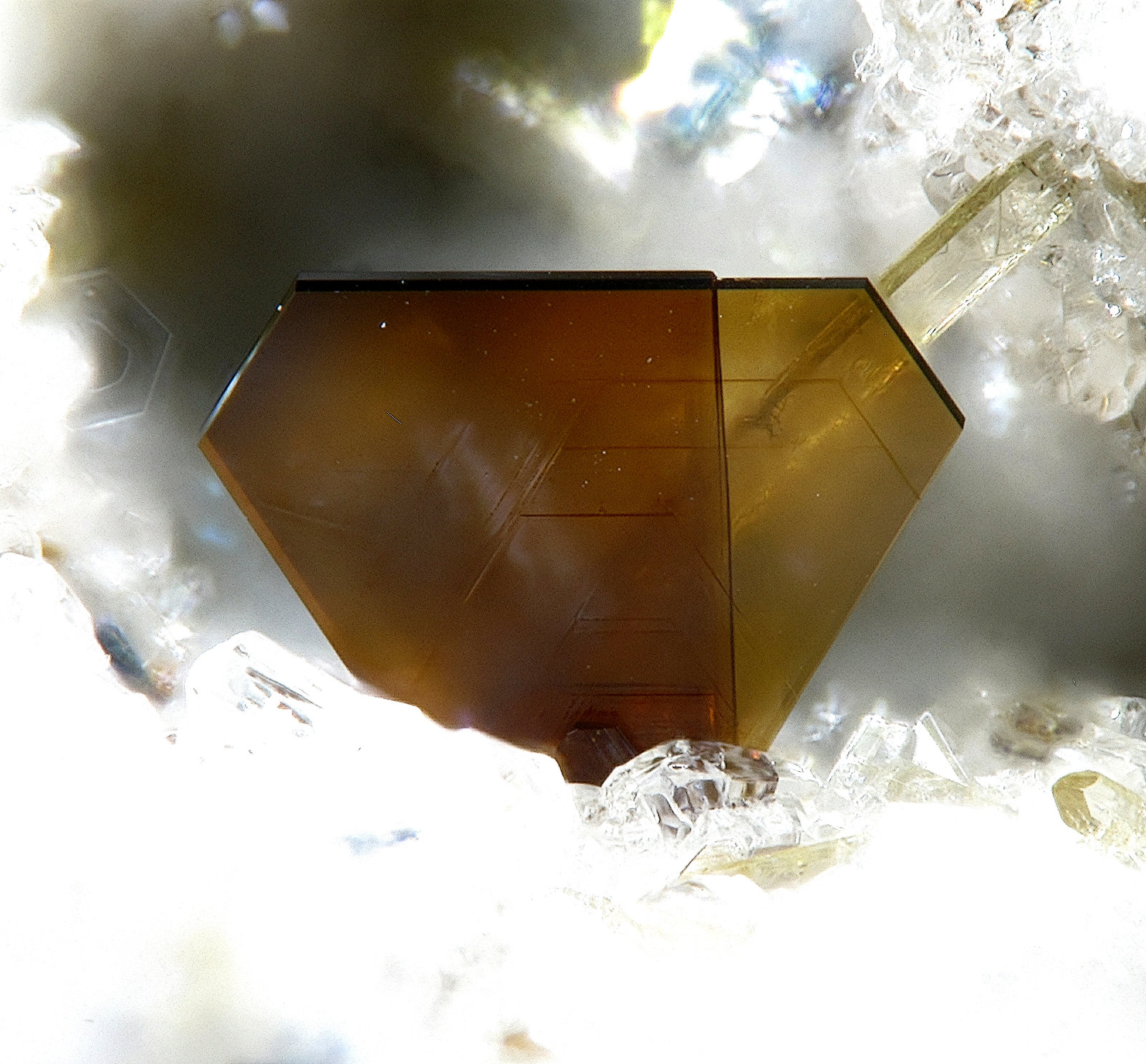 Fluorophlogopita
Campo de visión 0,8 mm.
(Autor: Antonio P. López)