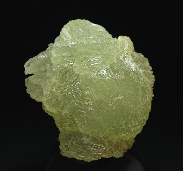 (Autor: Carlos Pareja)