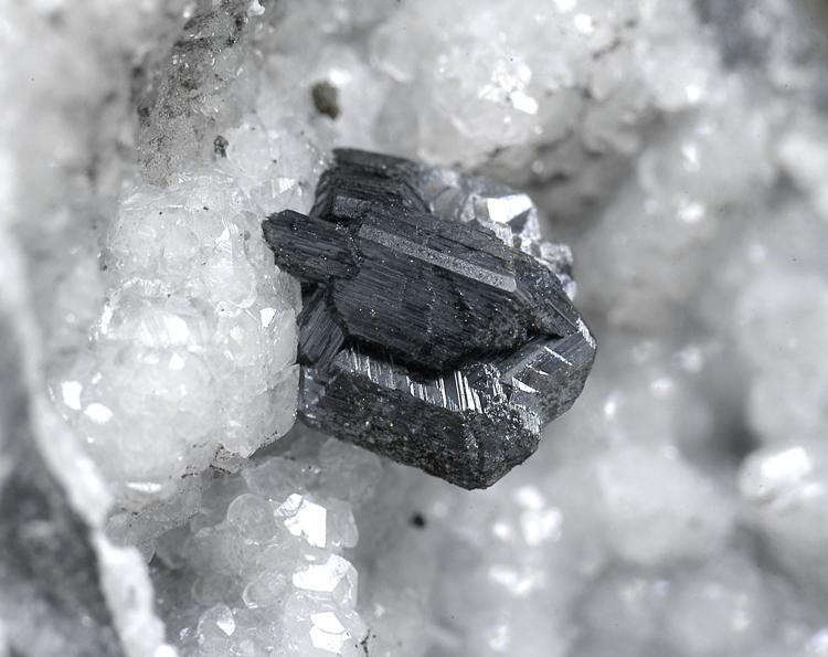 (Autor: Carlos Pareja)
