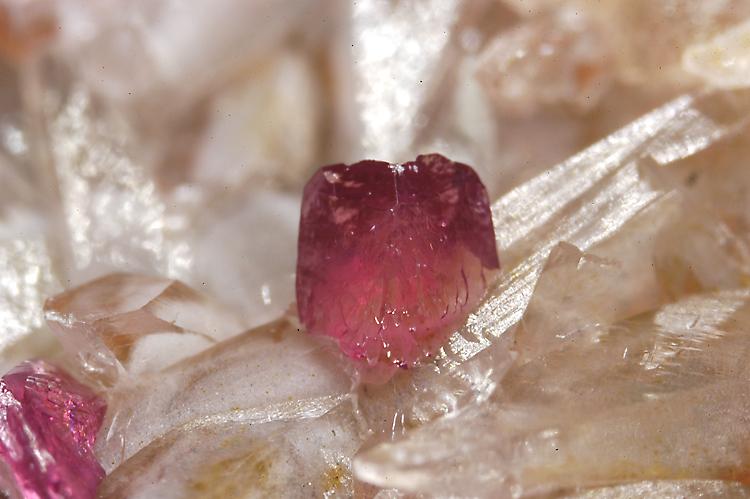 (Autor: Carlos Pareja)