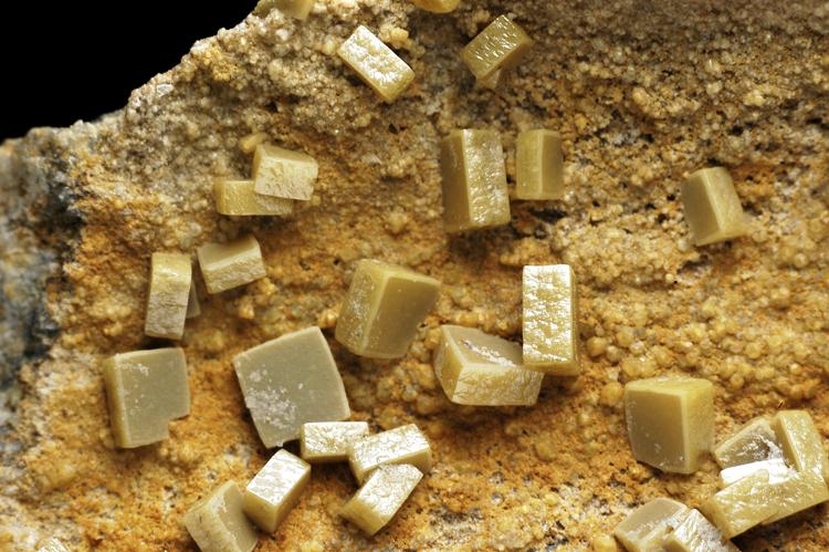 (Autor: Carlos Pareja)