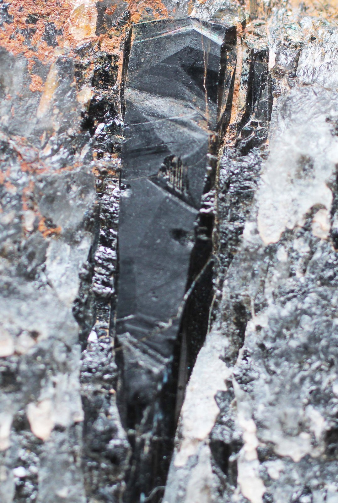 Foitita
25 x 6 mm
(Autor: José Luis Zamora)
