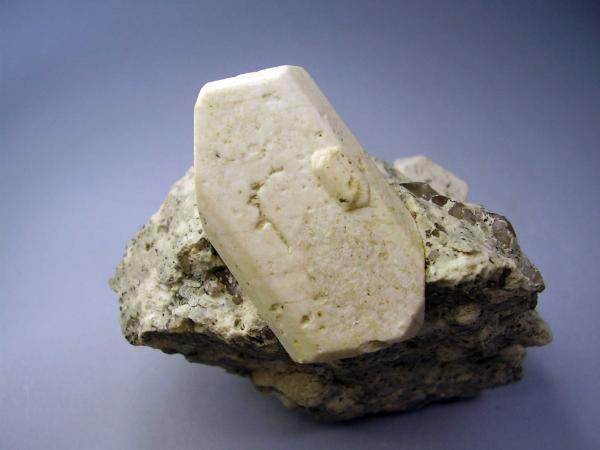Ortosa. Zarzalejo, Madrid. 6x5 cm.