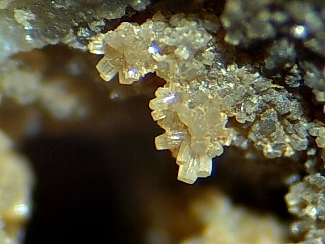 Fosfohedifana.
Campo de visión 2 mm. aproximadamente.
(Autor: Carles Rubio)