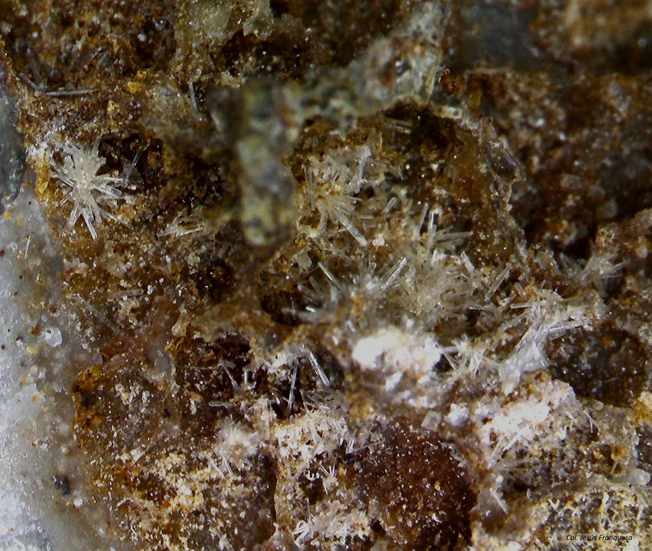 Fosfohedifana.
5´973 x 5´084 mm.
(Autor: Jesus Franquesa Baucells)