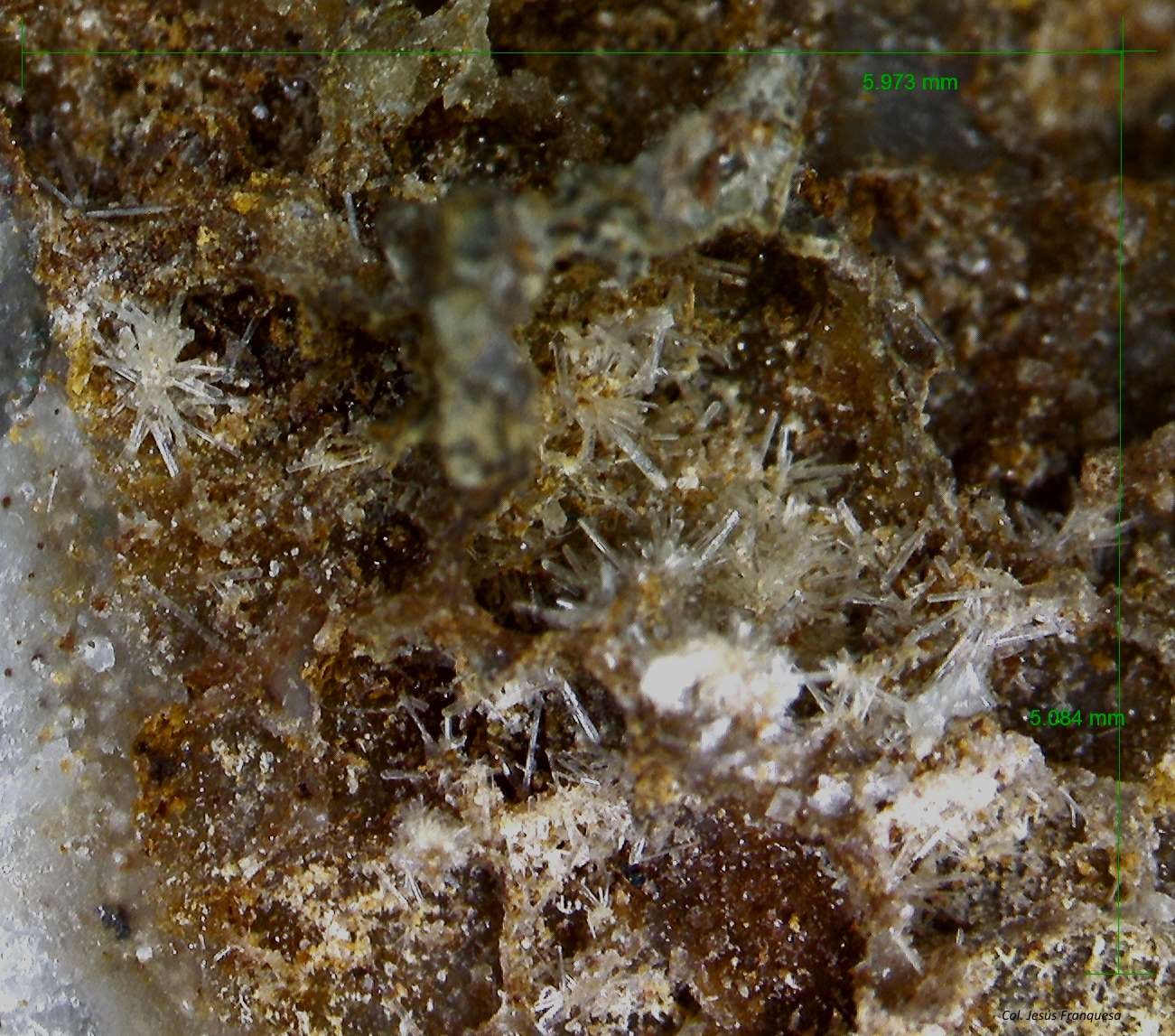 Fosfohedifana.
5´973 x 5´084 mm.
(Autor: Jesus Franquesa Baucells)