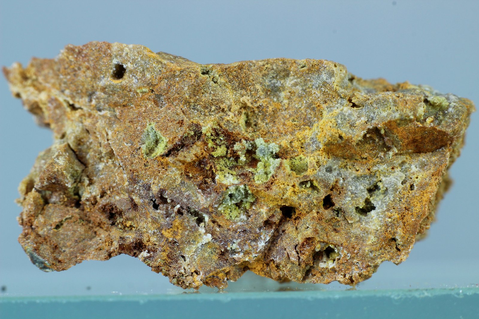 Fosfohedyfana
30x15 mm
(Autor: Juan Espino)