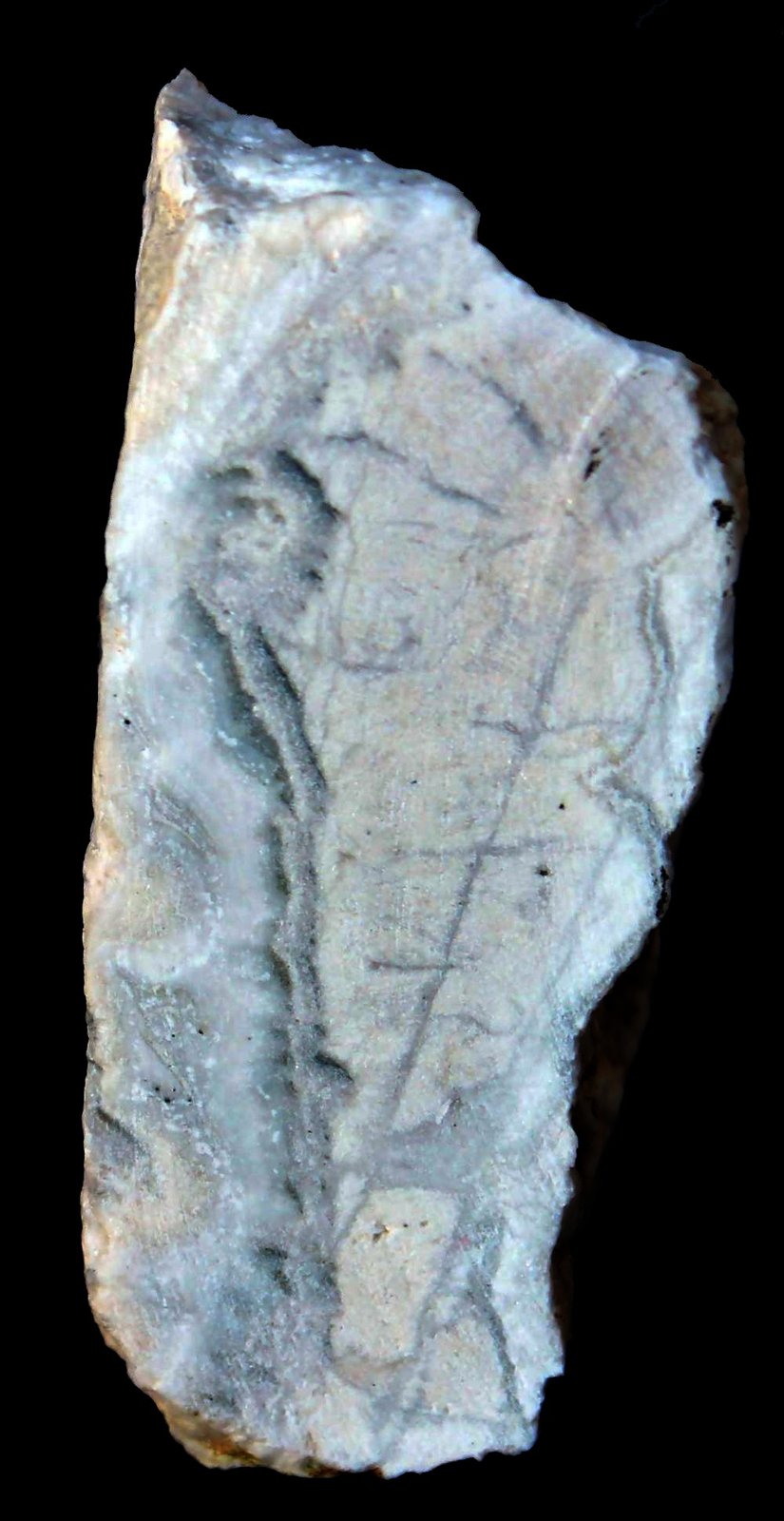 fosforita
69 x 40 x 32 mm.
(Autor: José Luis Zamora)