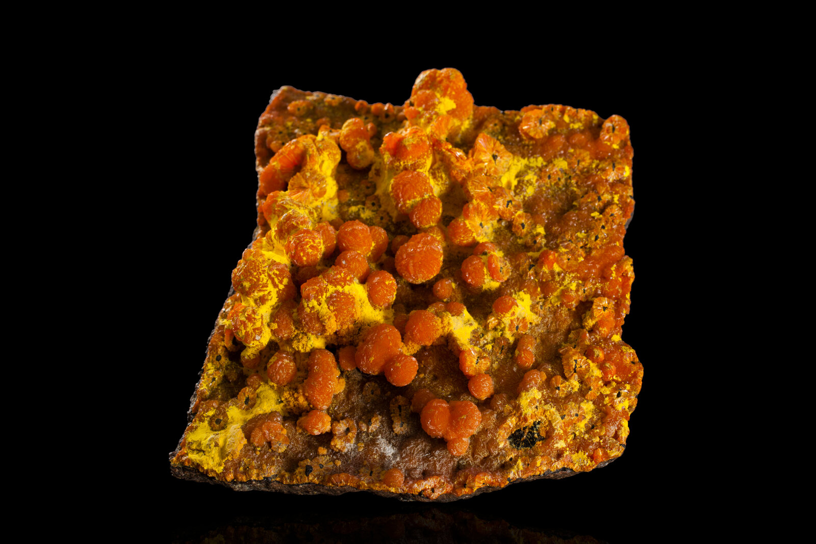 Francevillita con Curienita
9 x 8 x 3.5 cm / Cristal principal: 1 cm
(Autor: Museo MIM)