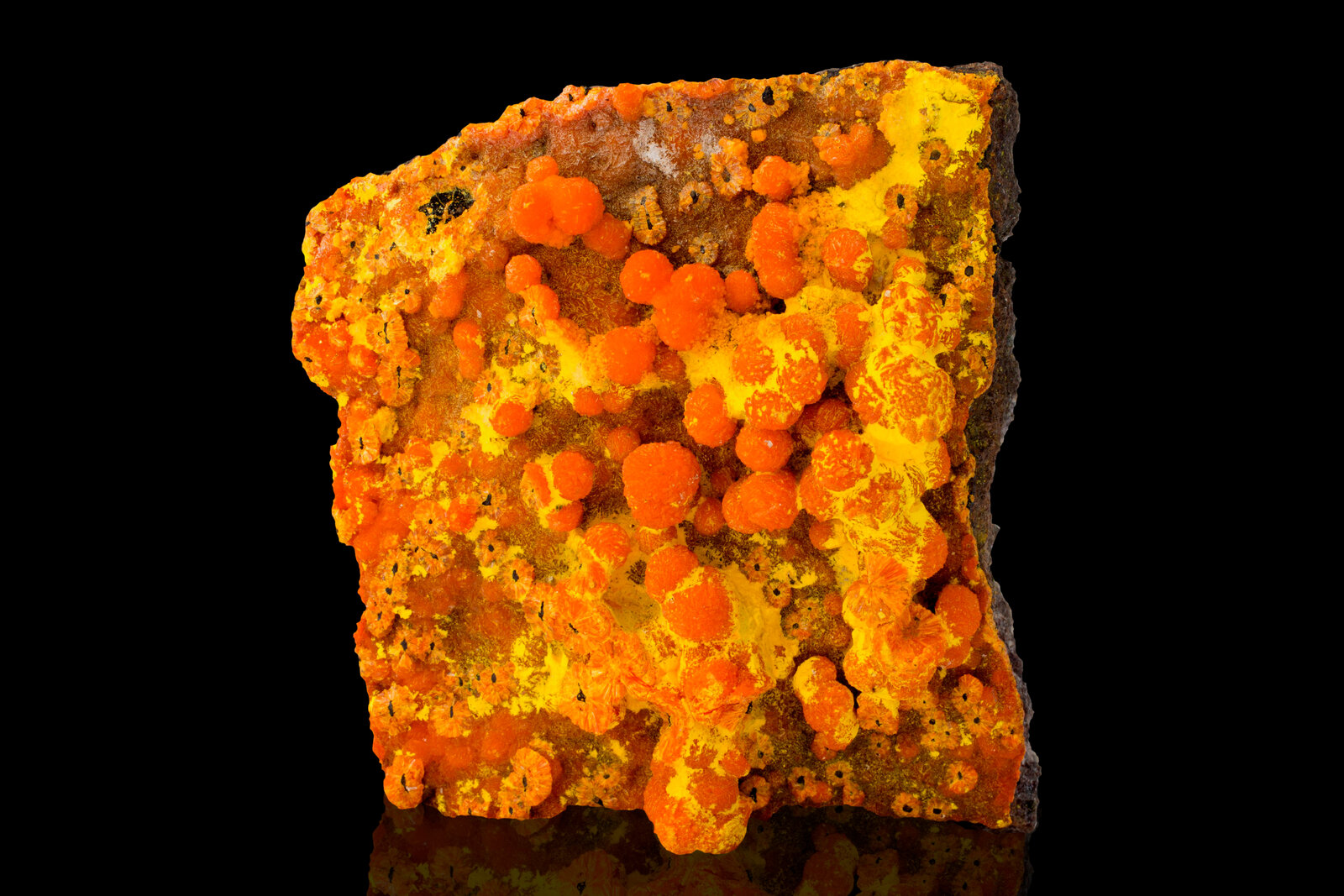 Francevillita con Curienita
9 x 8 x 3.5 cm / Cristal principal: 1 cm
(Autor: Museo MIM)