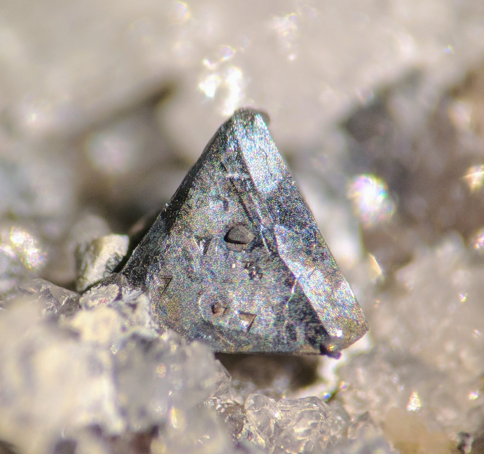 Freibergita, Cuarzo
Cristal 3 x 3 mm
(Autor: carles)