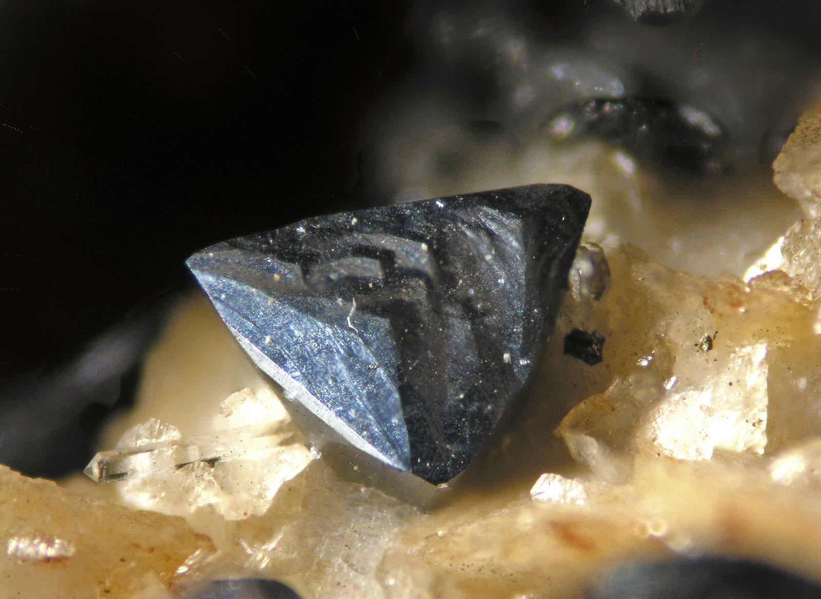 Freibergita
FOV 1 cm
(Autor: Cesar M. Salvan)