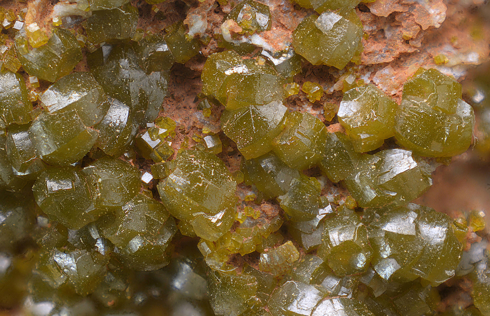 Mimetita
Campo de visión de 10 mm.
(Autor: Antonio Carmona)