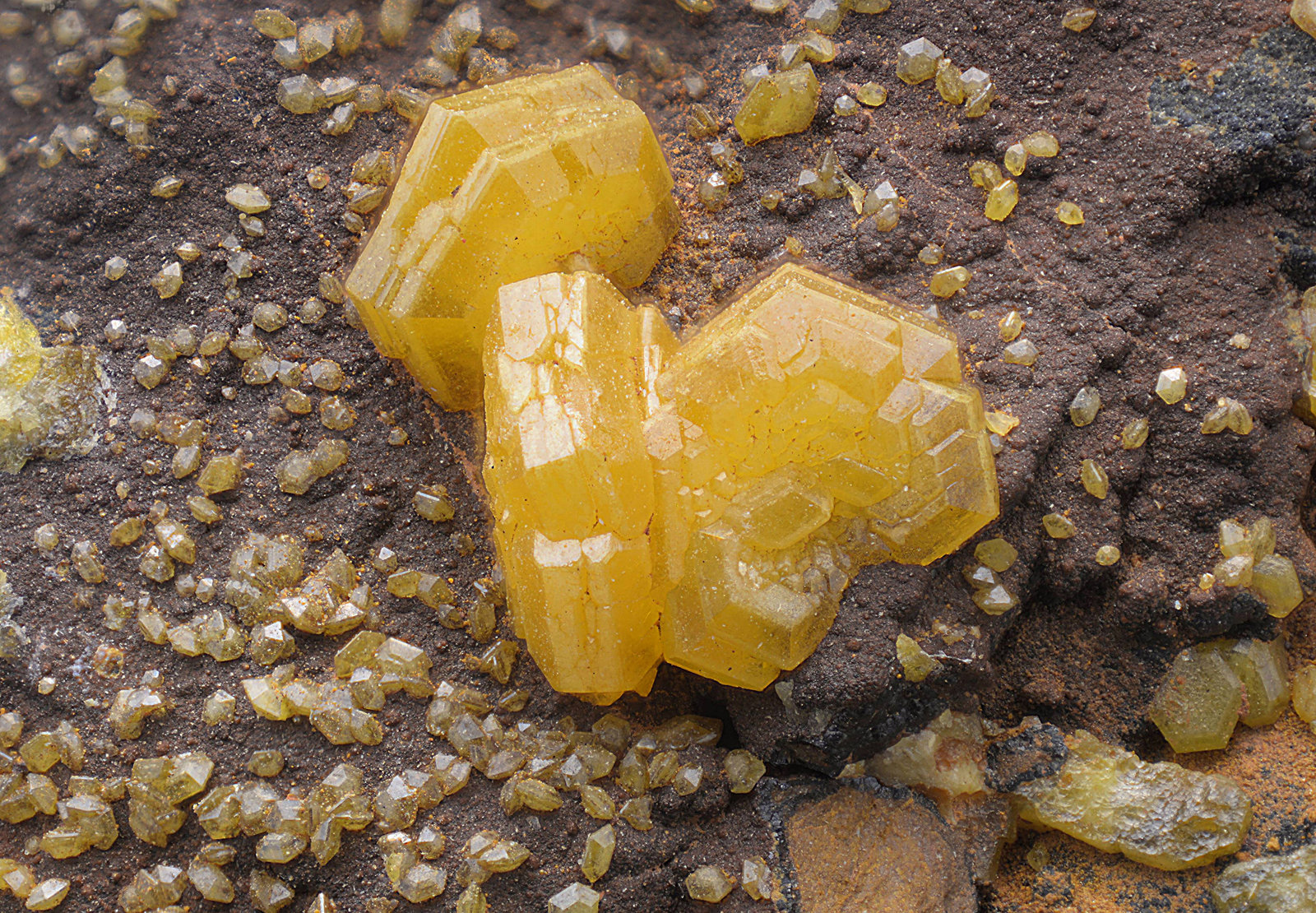 Mimetita
Campo de visión de 10 mm
(Autor: Antonio Carmona)