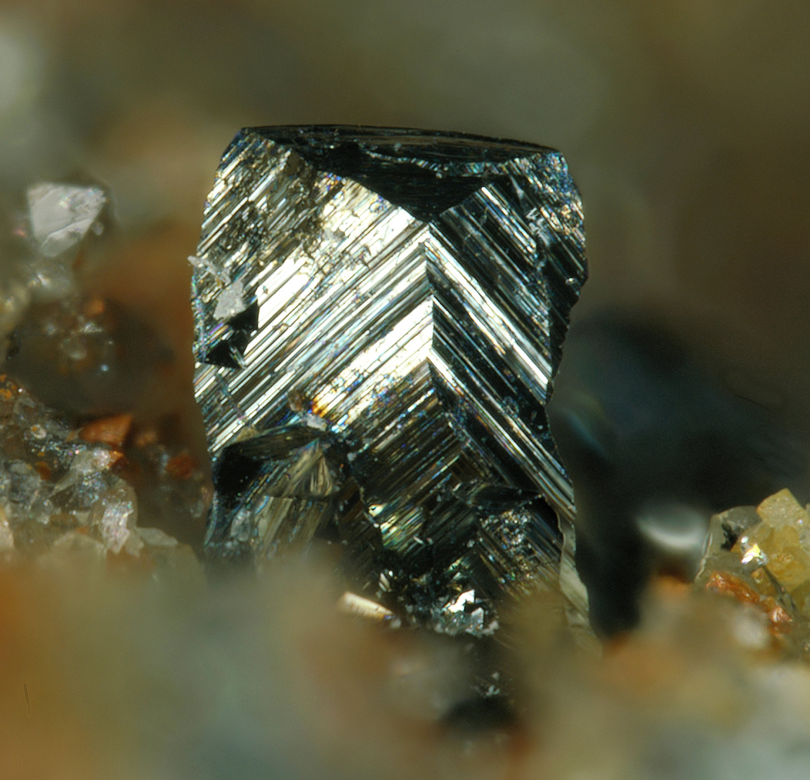 Fülöppita
fov 0.9 mm
(Autor: Antonio P. López)