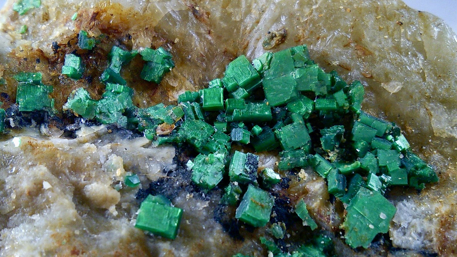 Torbernita
60x60mm
(Autor: Carlos G. Bargueño)
