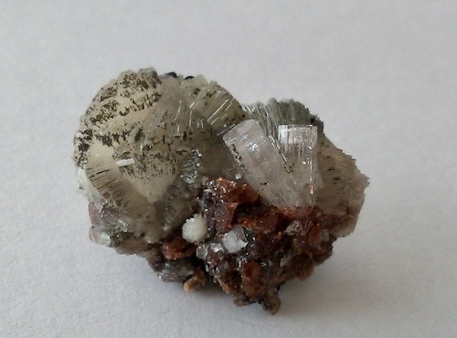 Bavenita, Milarita, Helvina
20x15x10mm
(Autor: Carlos G. Bargueño)