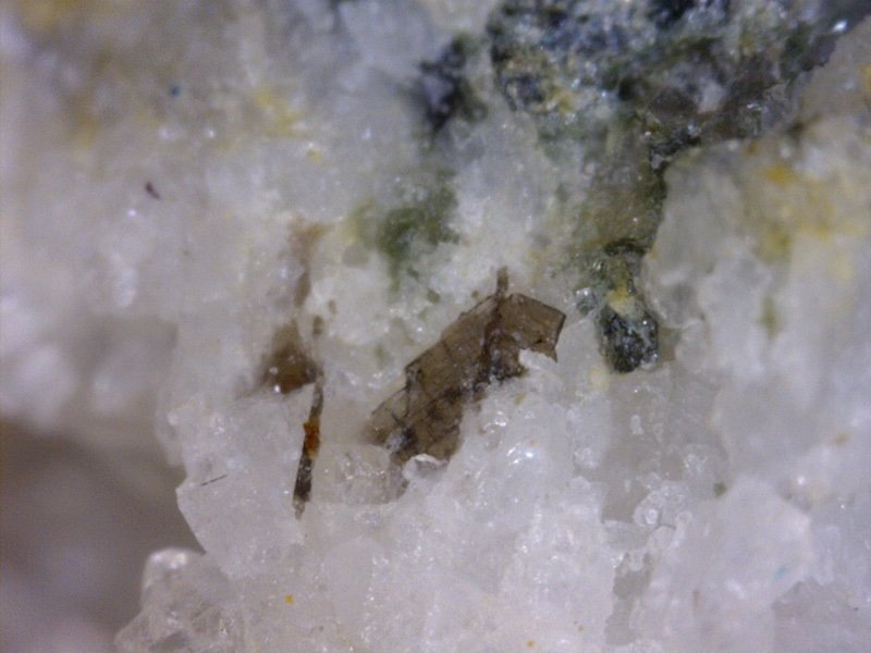 Brookita.
Encuadre 1,5 mm
(Autor: Carlos G. Bargueño)