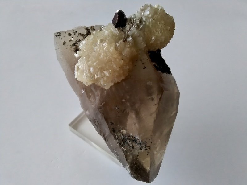 Bavenita,  Granate (Grupo), Cuarzo (variedad ahumado)
Ejemplar 70x40 mm
(Autor: Carlos G. Bargueño)