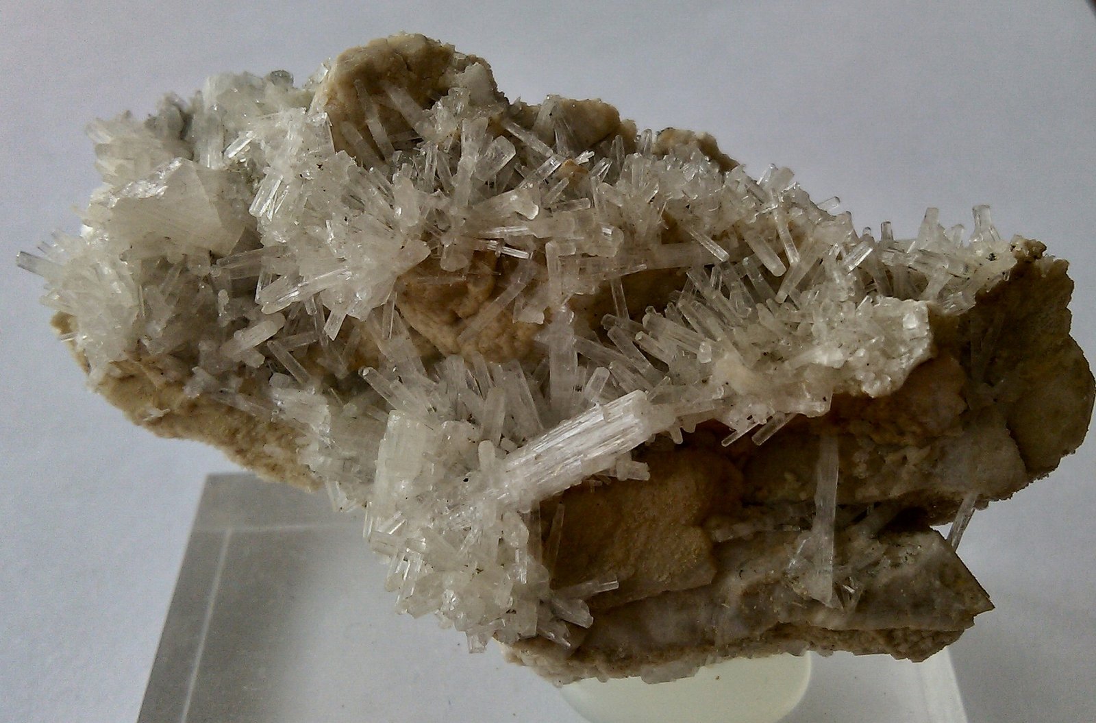 Milarita, Microclina
63x30mm
(Autor: Carlos G. Bargueño)