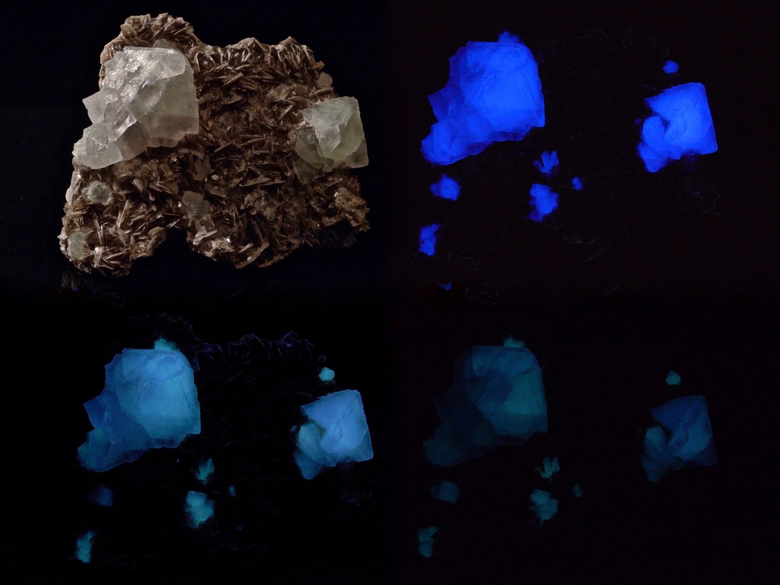 Fluorita
9 x 7,5 x 3 cm
(Autor: Josele)