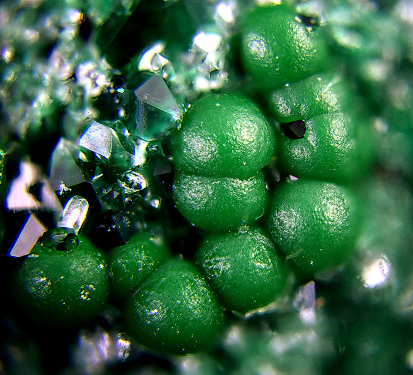 Cornwallita sobre Cuarzo
Campo de visión de 3 mm
(Autor: Antonio Carmona)