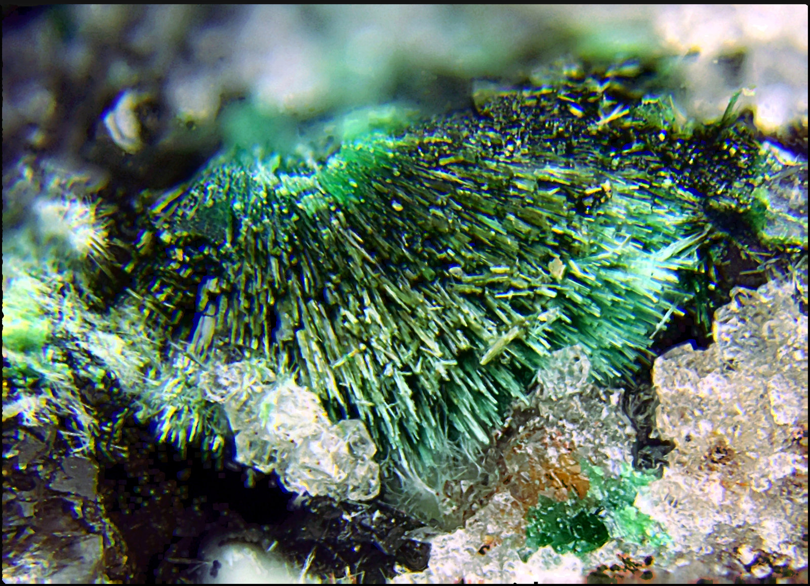 Olivenita
Campo de visión de 3 mm
(Autor: Antonio Carmona)