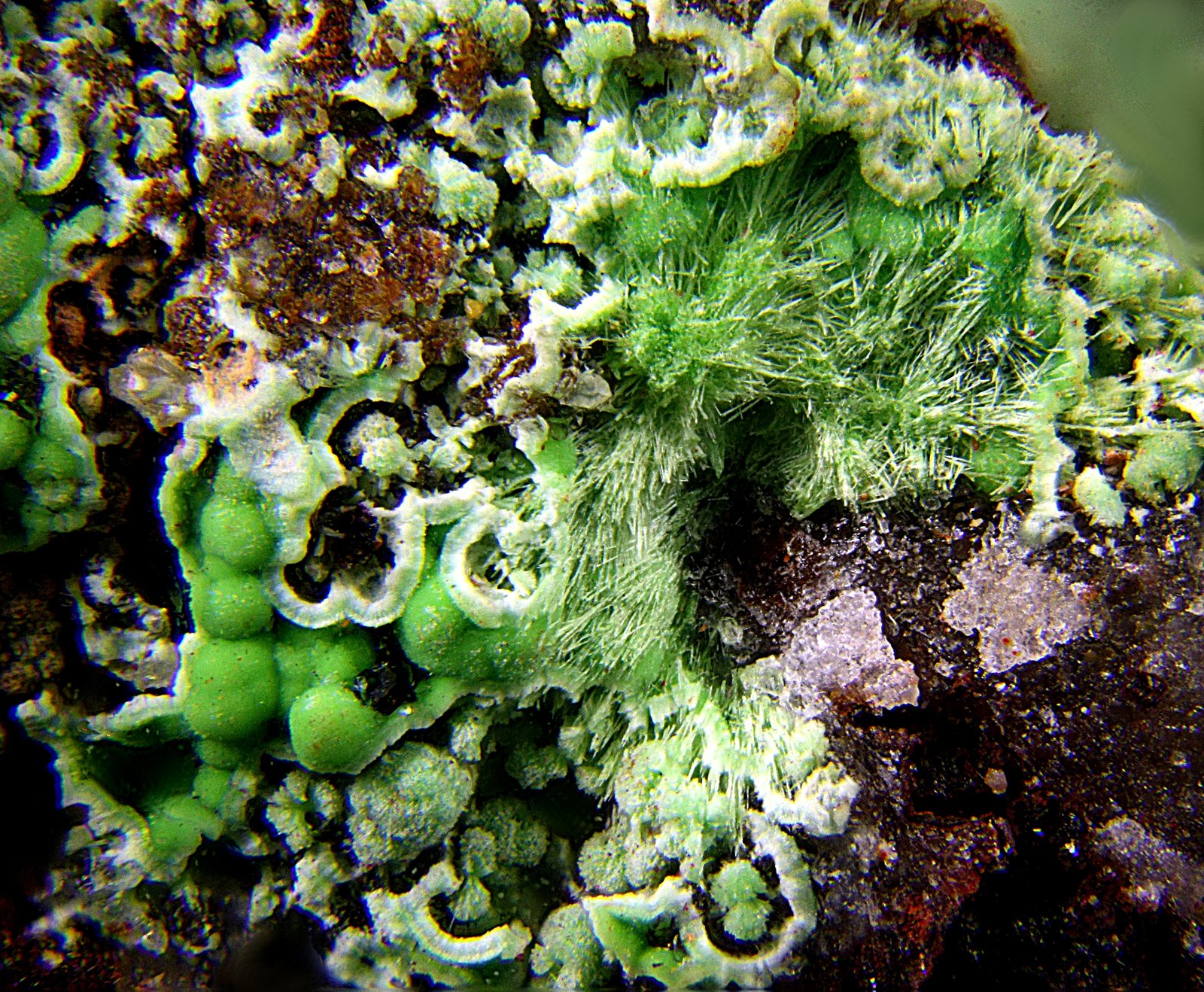 Conicalcita
Campo de visión de 3 mm
(Autor: Antonio Carmona)
