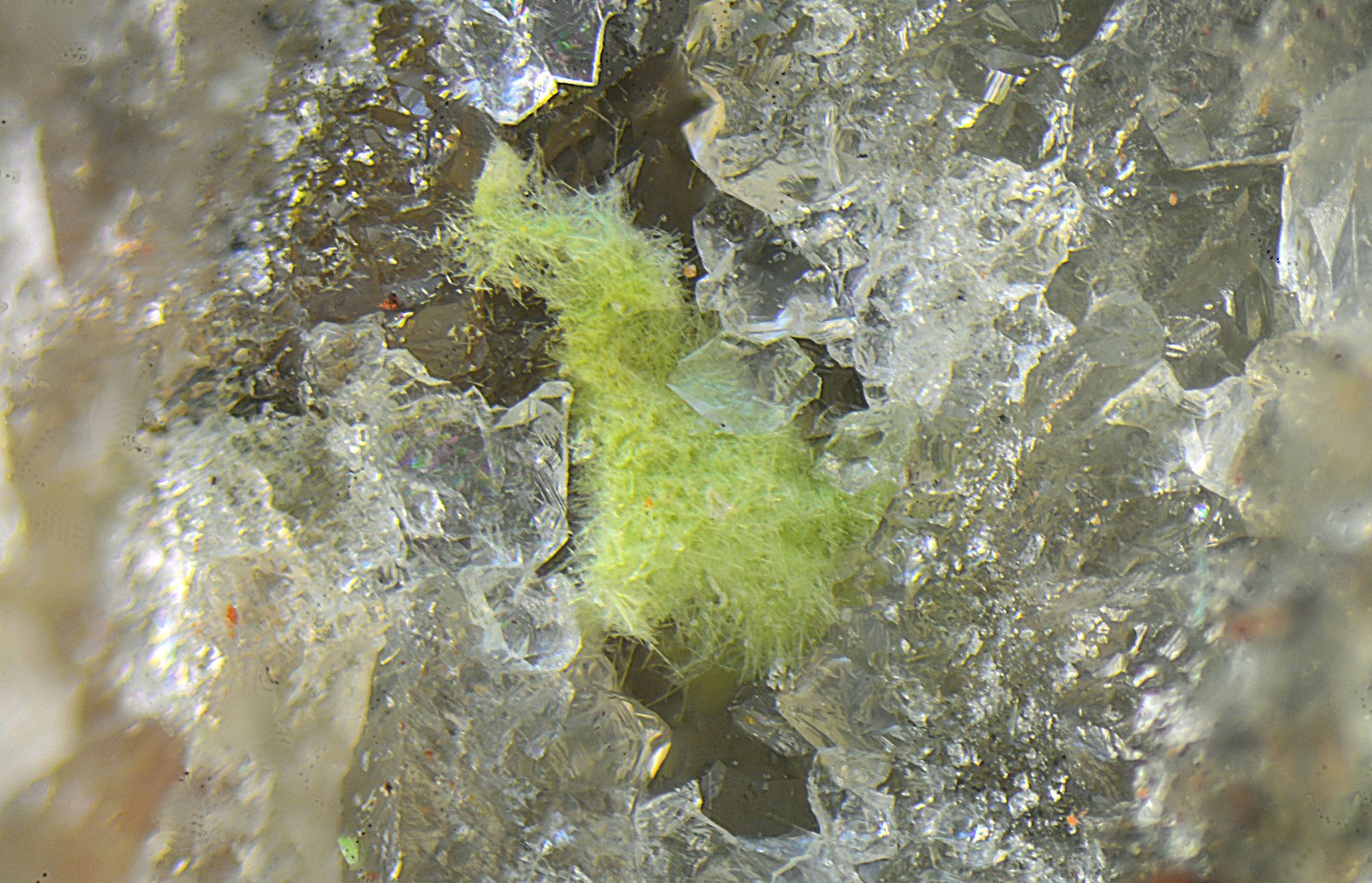 Agardita-(Y)
Campo de visión de 2 mm
(Autor: Antonio Carmona)