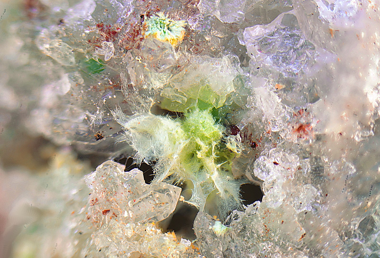Agardita-(Y)
Campo de visión de 4 mm
(Autor: Antonio Carmona)