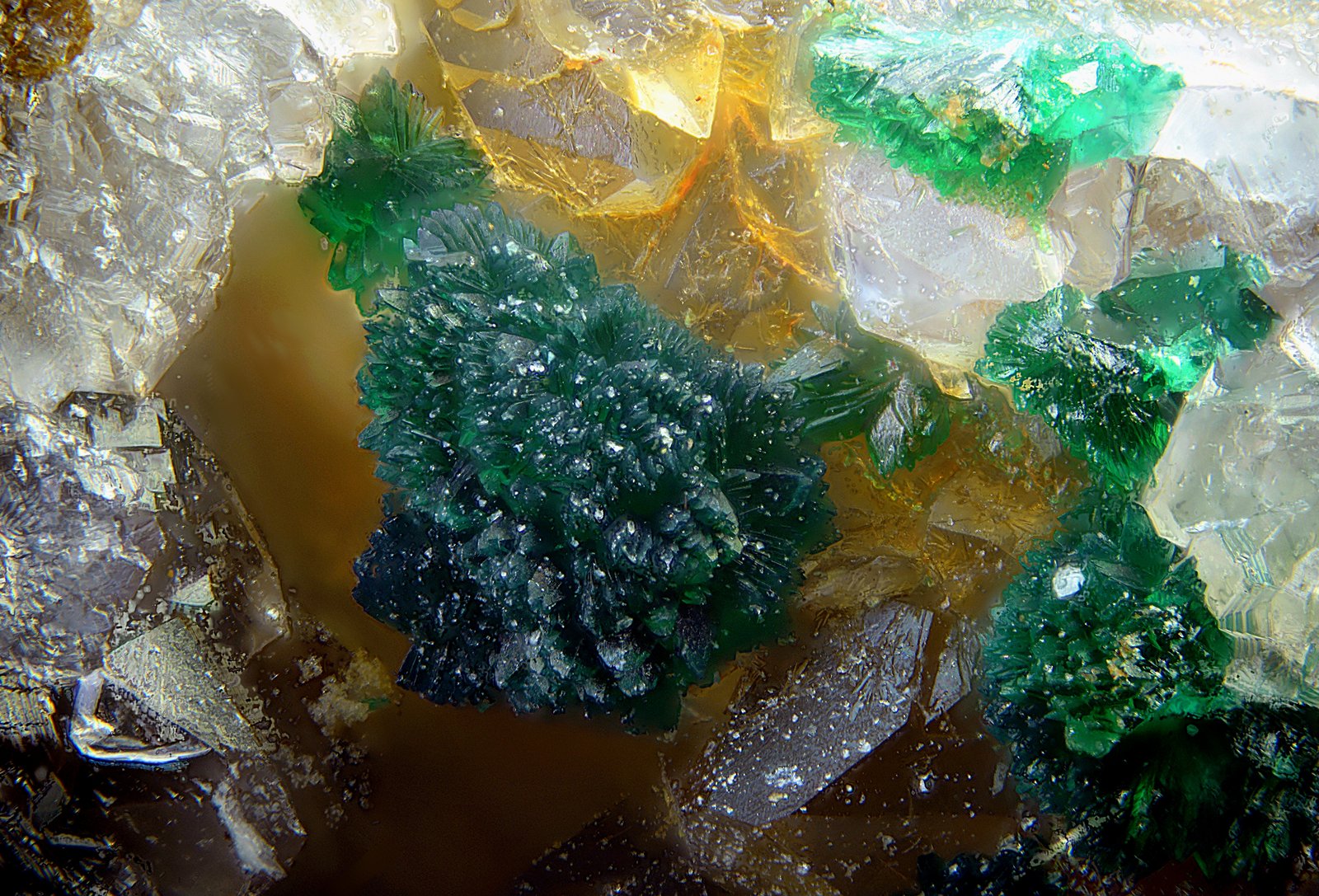 Atacamita
Campo de visión de 3 mm
(Autor: Antonio Carmona)