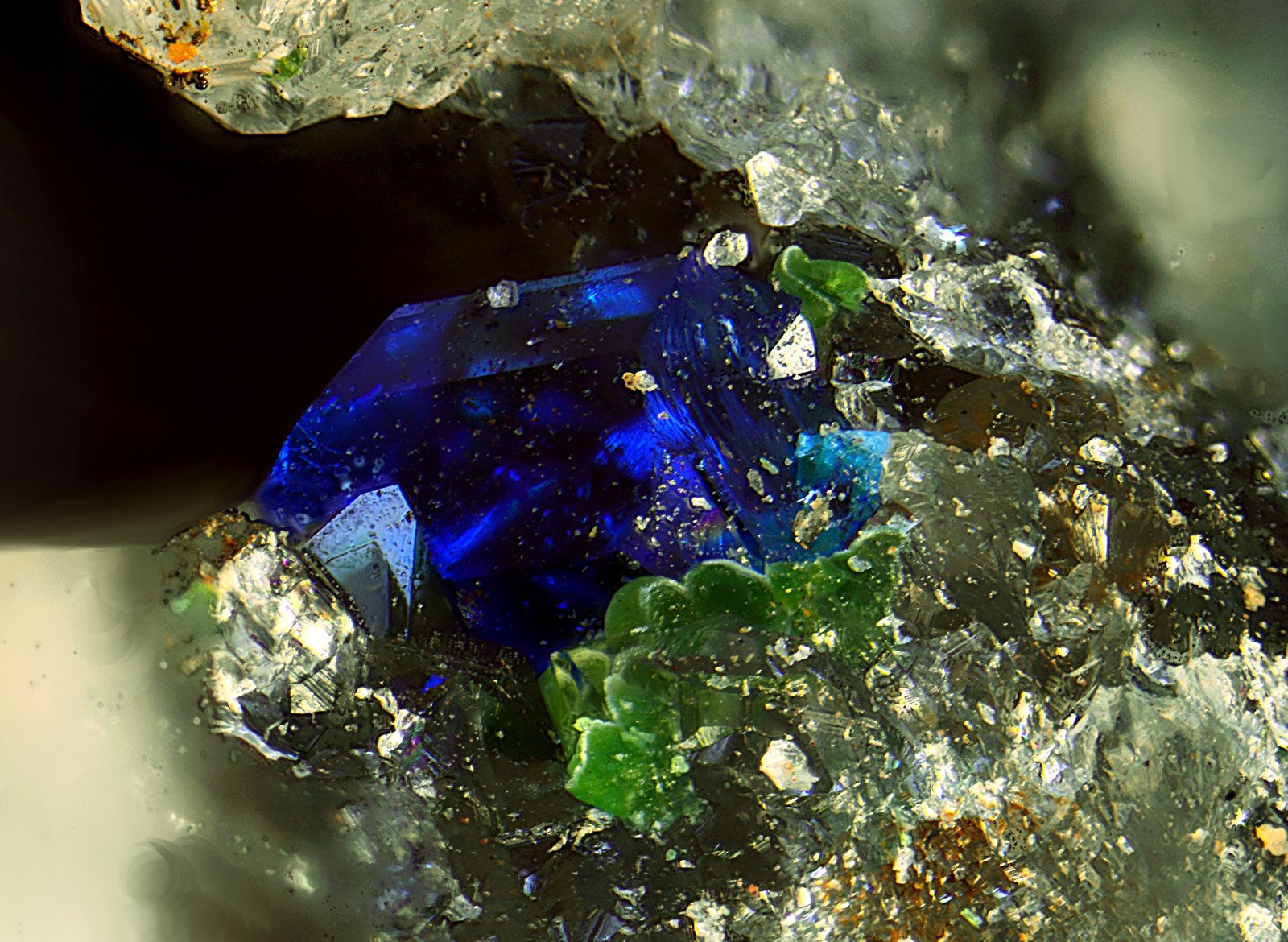 Calcomenita
Campo de visión de 4 mm.
(Autor: Antonio Carmona)