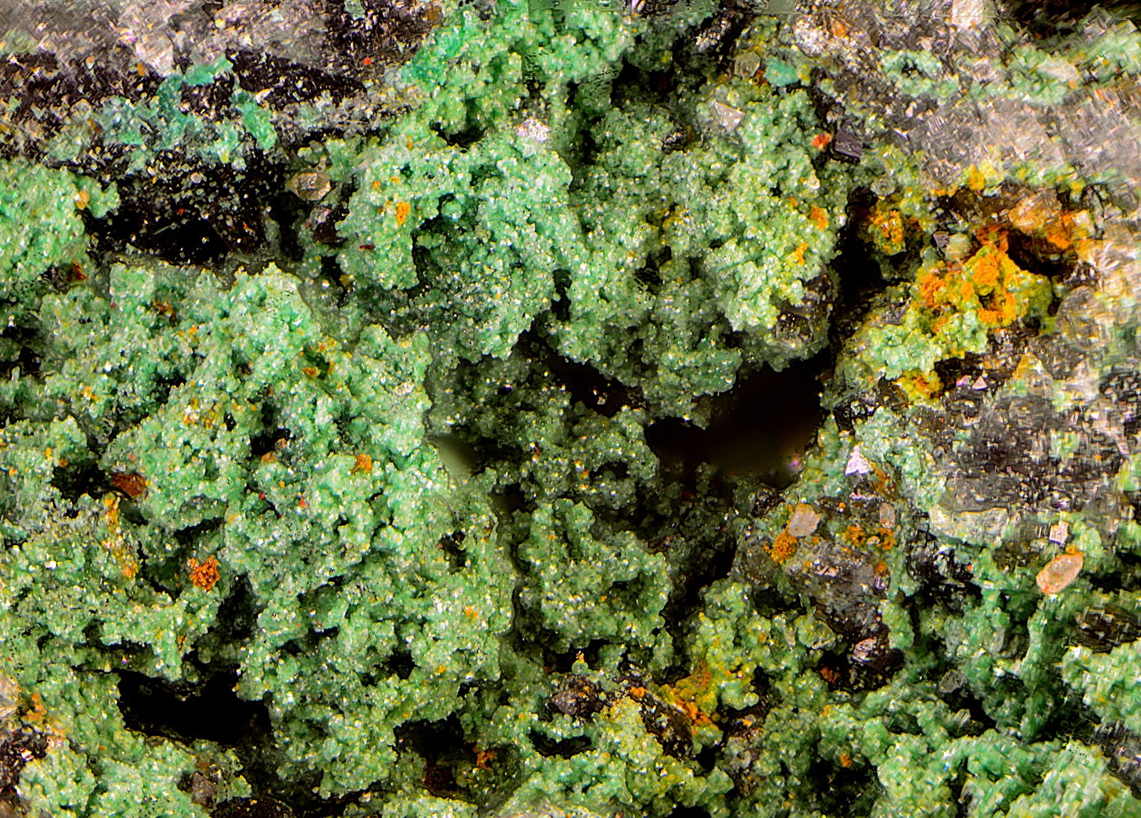 Clinoatacamita
Campo de visión de 5 mm.
(Autor: Antonio Carmona)