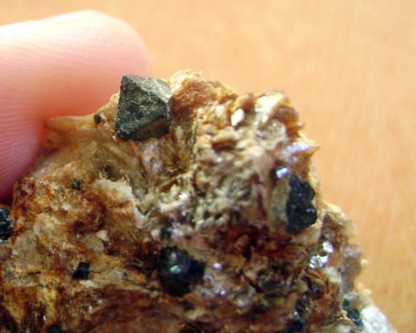 Gahnita
Arista 5 mm.
(Autor: usoz)