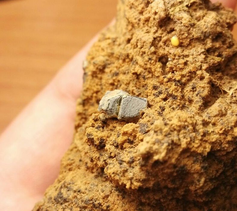 Galena
7 cm x 4 cm
(Autor: Javi Llamazares)