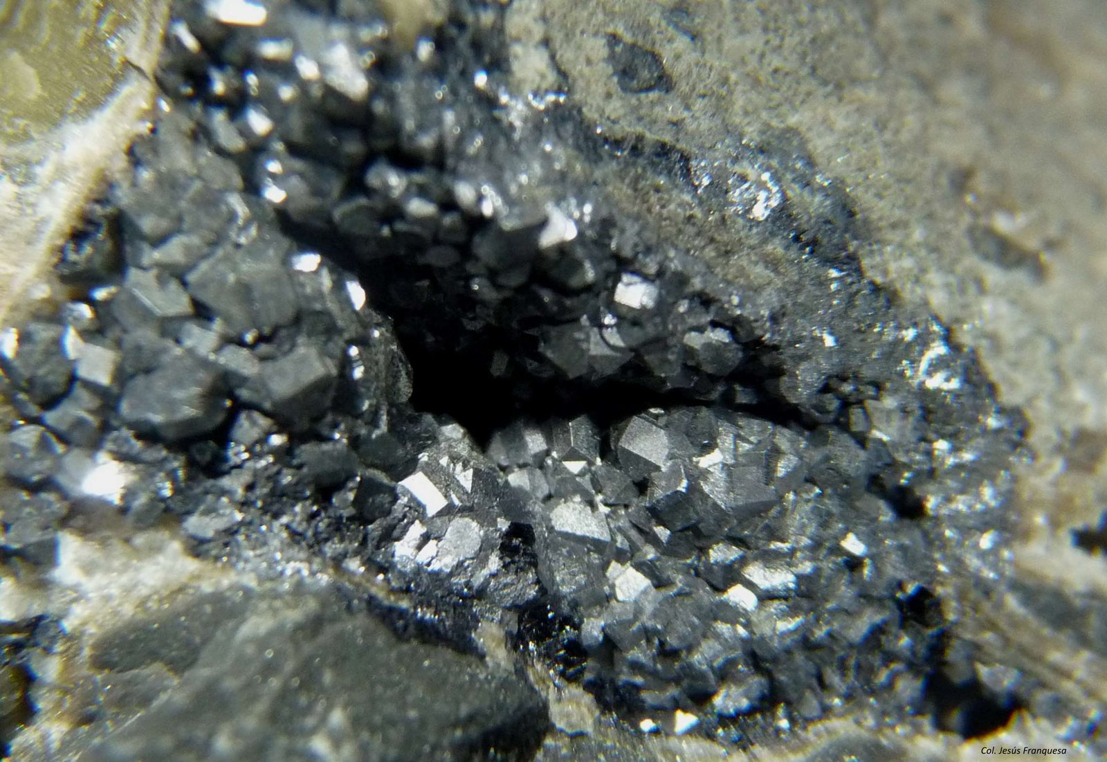 Galena.
59x38 mm.
(Autor: Jesus Franquesa Baucells)