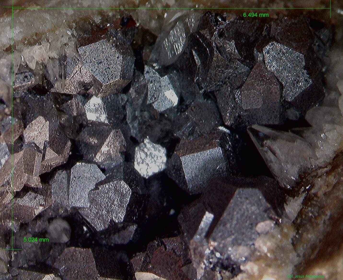 Galena.
6´´494 x 5´024 mm.
(Autor: Jesus Franquesa Baucells)