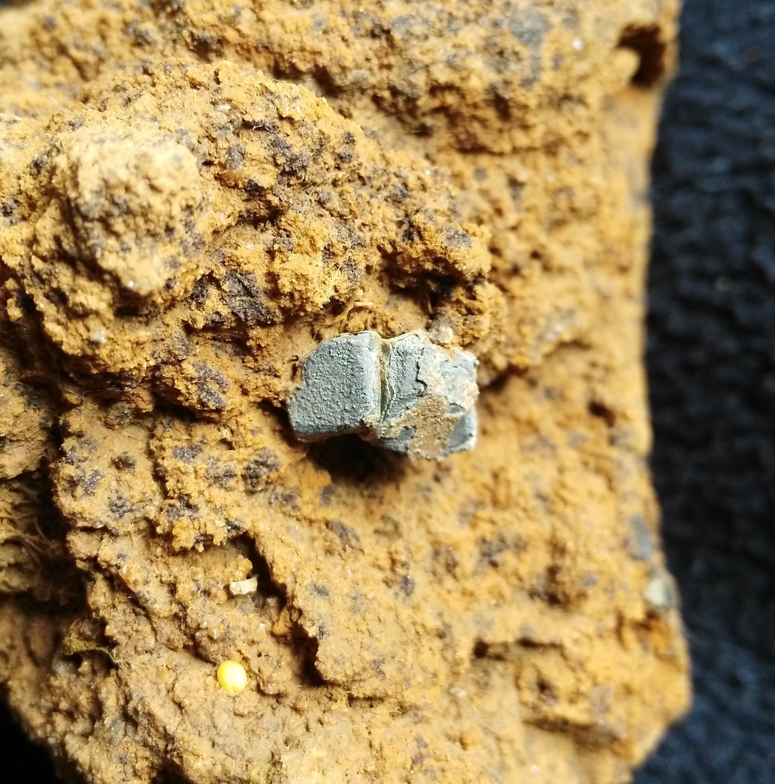 Galena
7 cm x 4 cm
(Autor: Javi Llamazares)