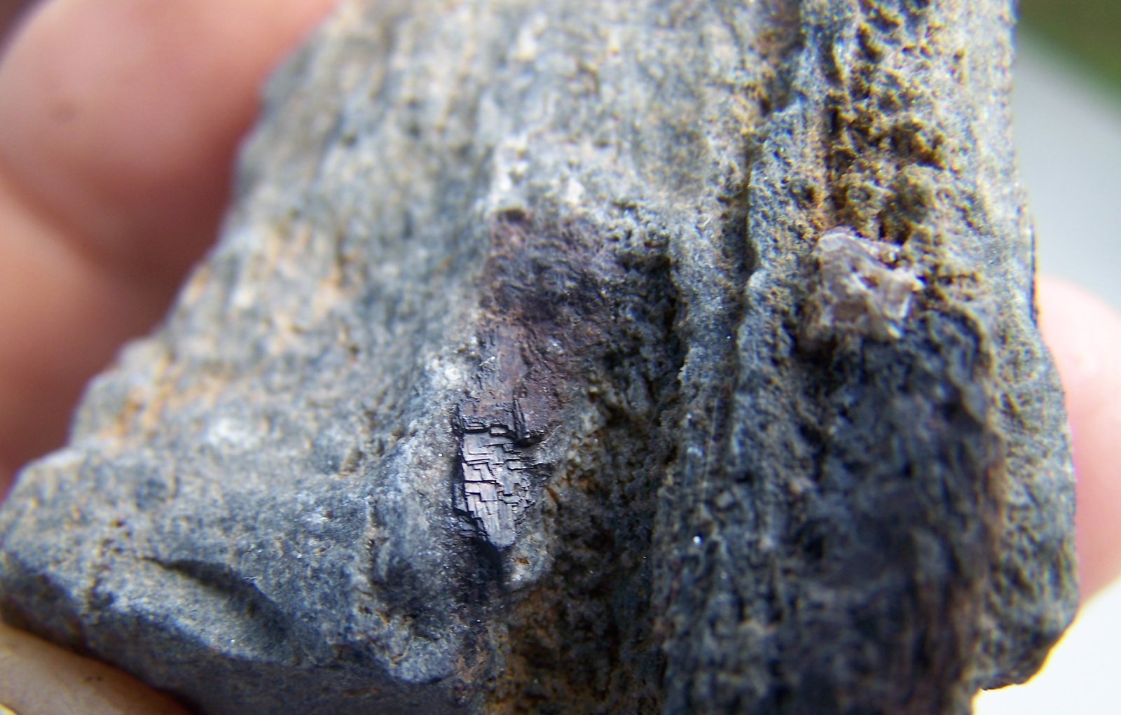 Galena
6 cm por 4cm
(Autor: canada)