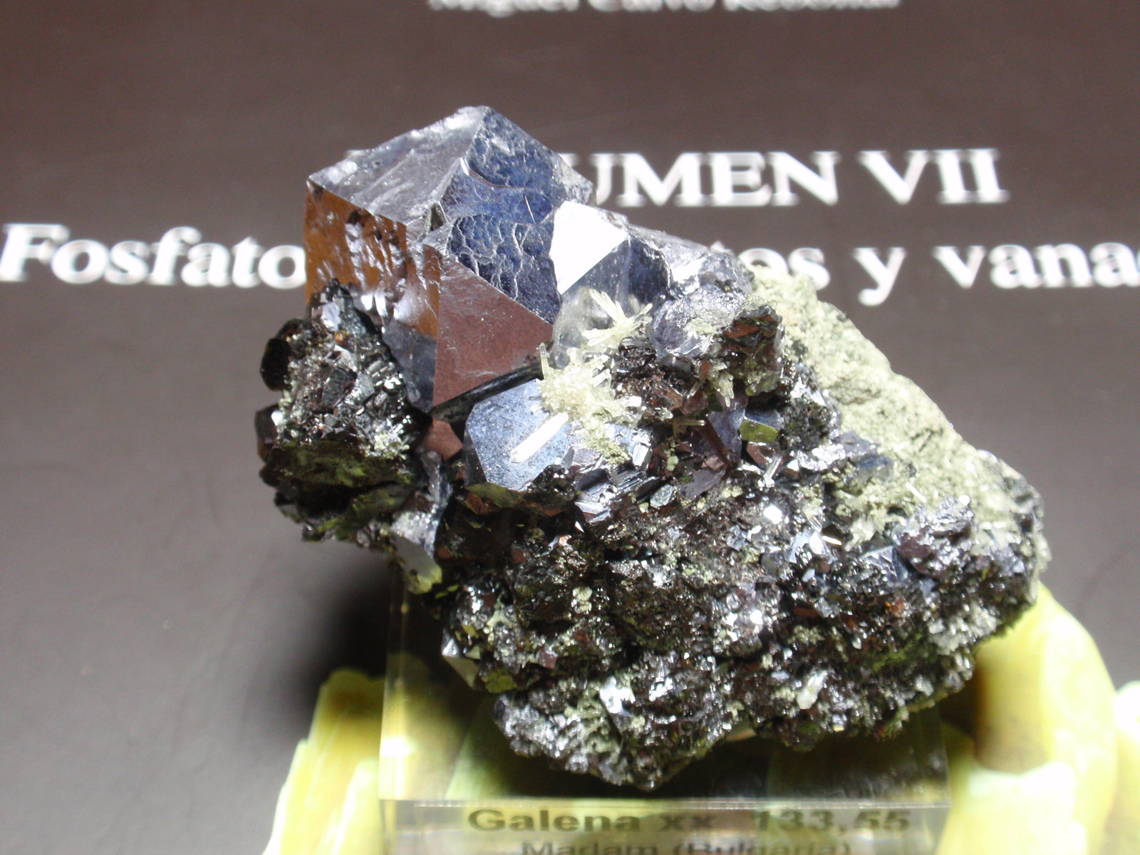 Galena
50x35 mm
(Autor: Ignacio)