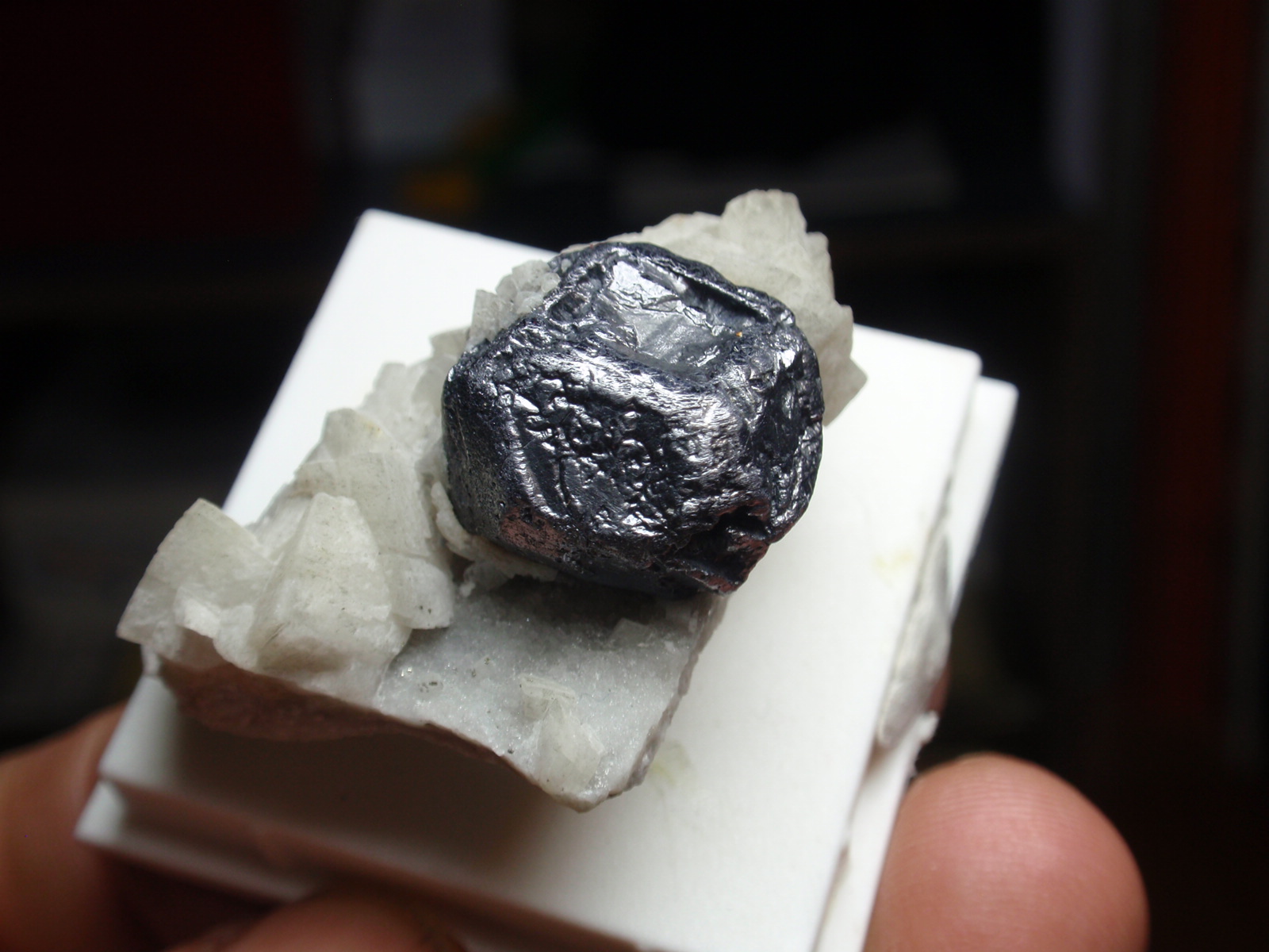 Galena
35x20 mm
(Autor: Ignacio)