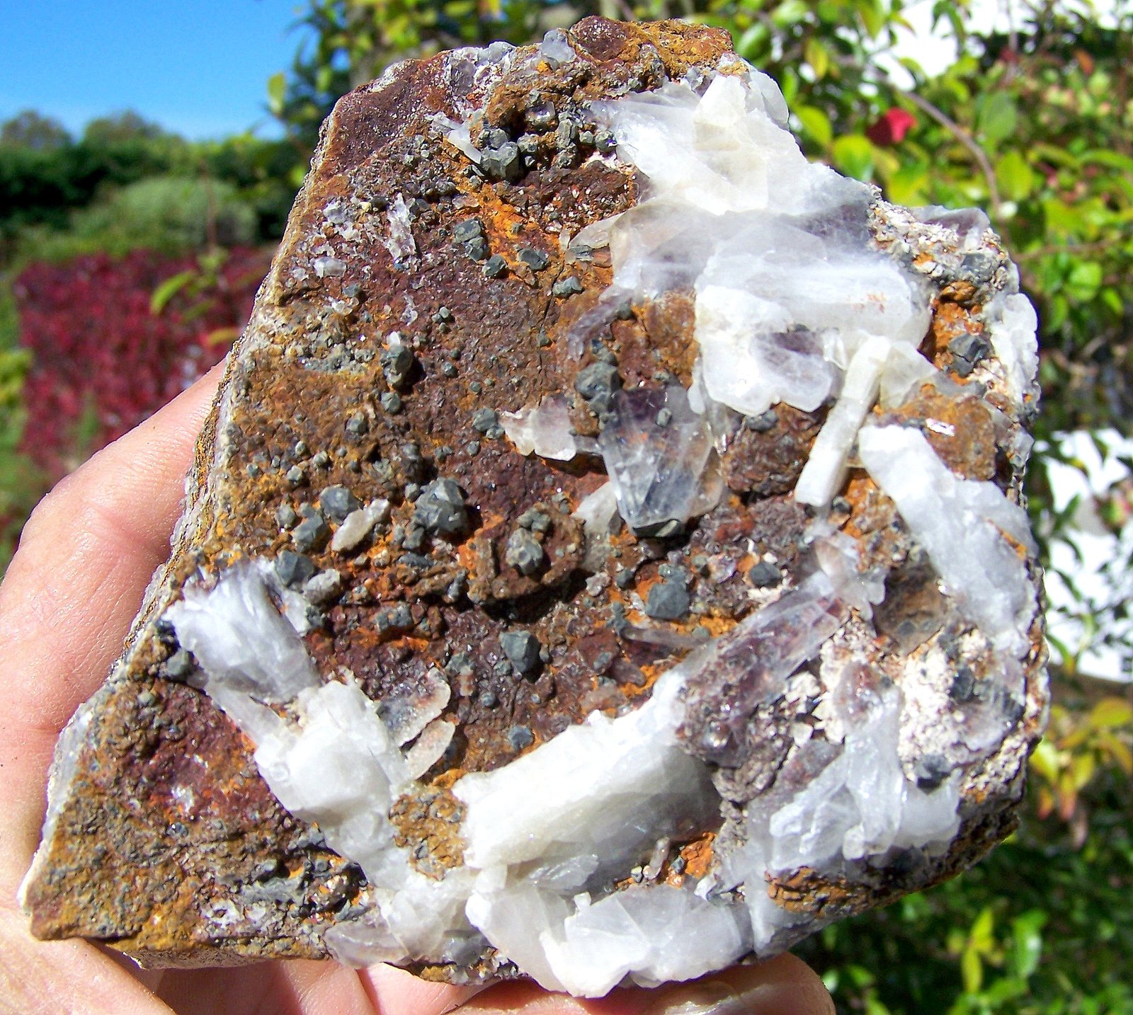 Galena con Barita
12cm por 9cm
(Autor: canada)