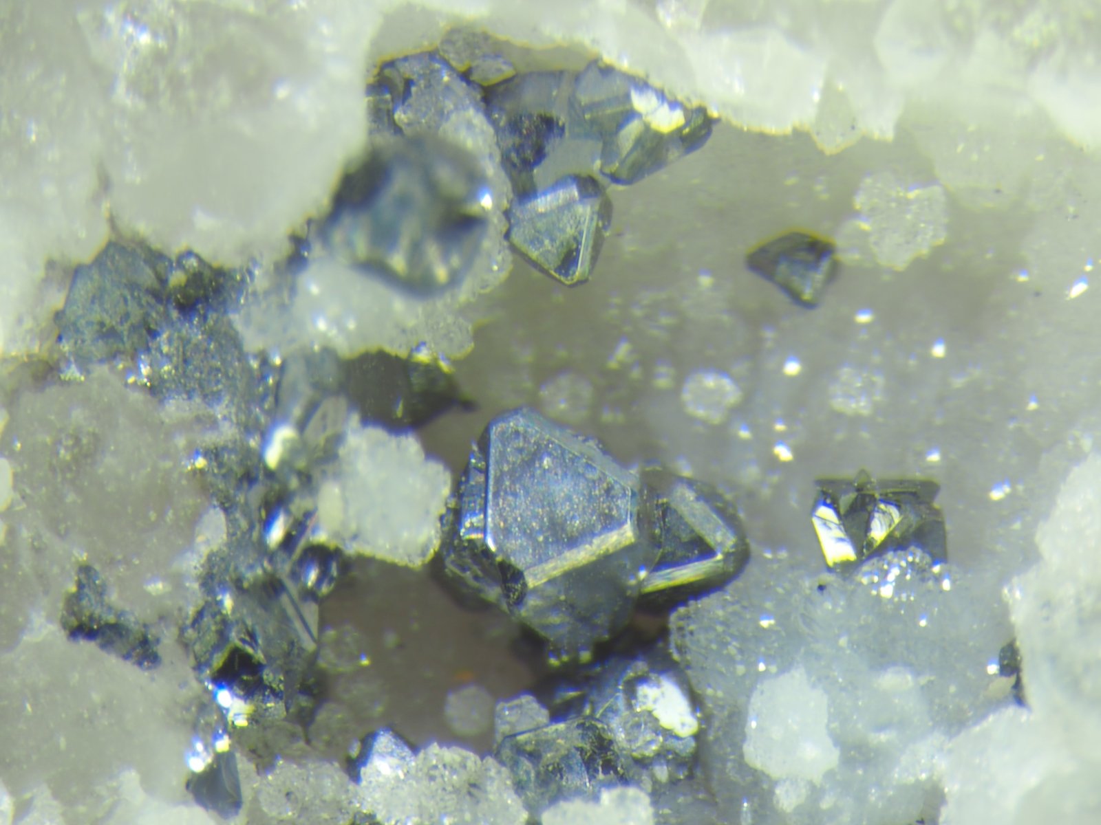 Galena
Cavidad de 3 mm con galena y escasas tetraedritas.
(Autor: Félix Marcos)