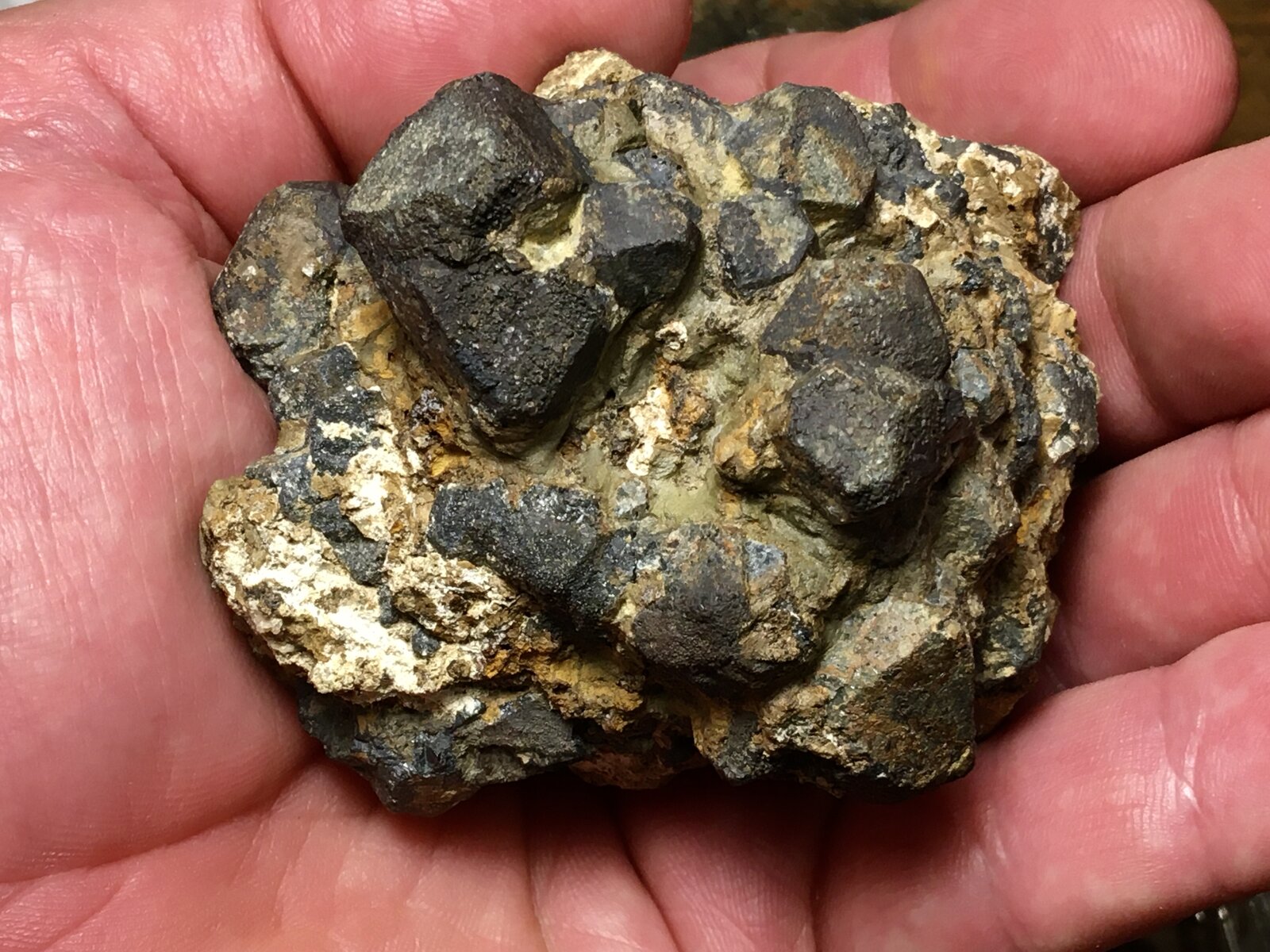 Galena
Tomasa Mine, La Fortuna, Sierra Minera de Cartagena-La Unión, La Unión, Comarca Campo de Cartagena, Region of Murcia (Murcia), Spain
7 x 6 cm
(Autor: Matias Raja)