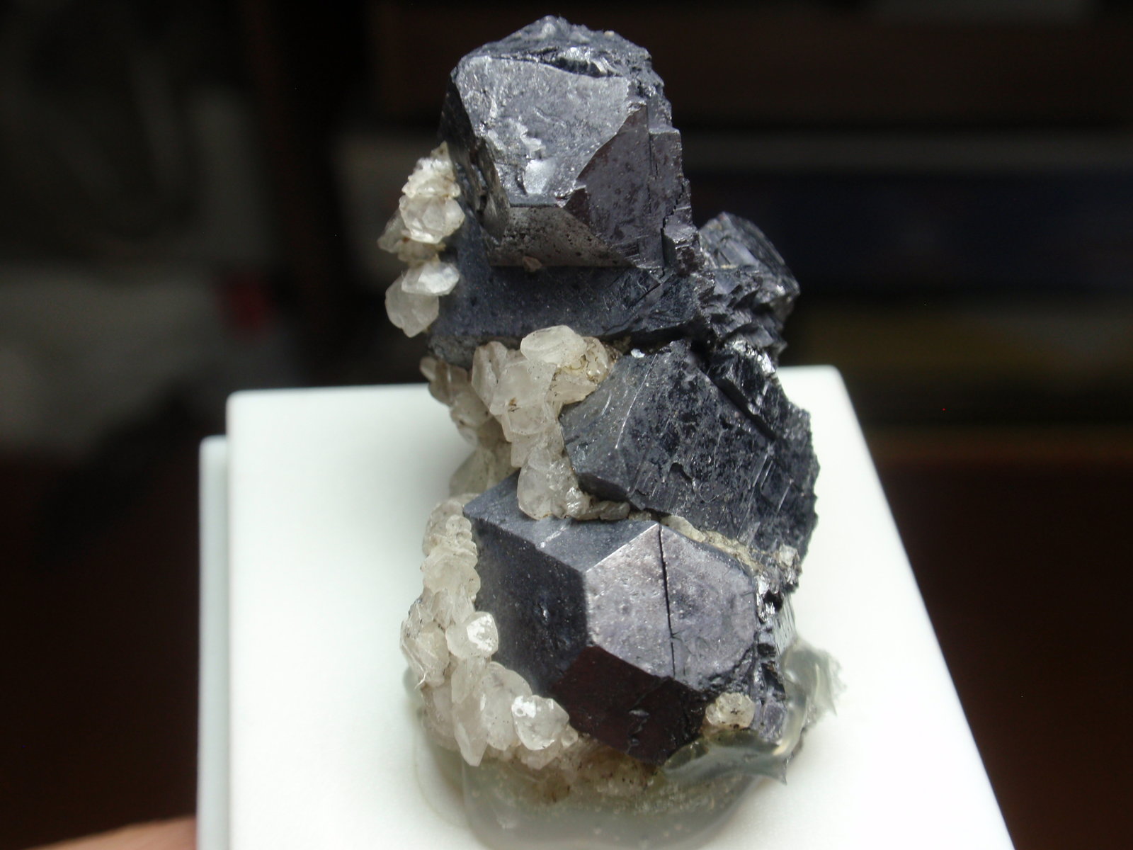 Galena
20x40 mm
(Autor: Ignacio)