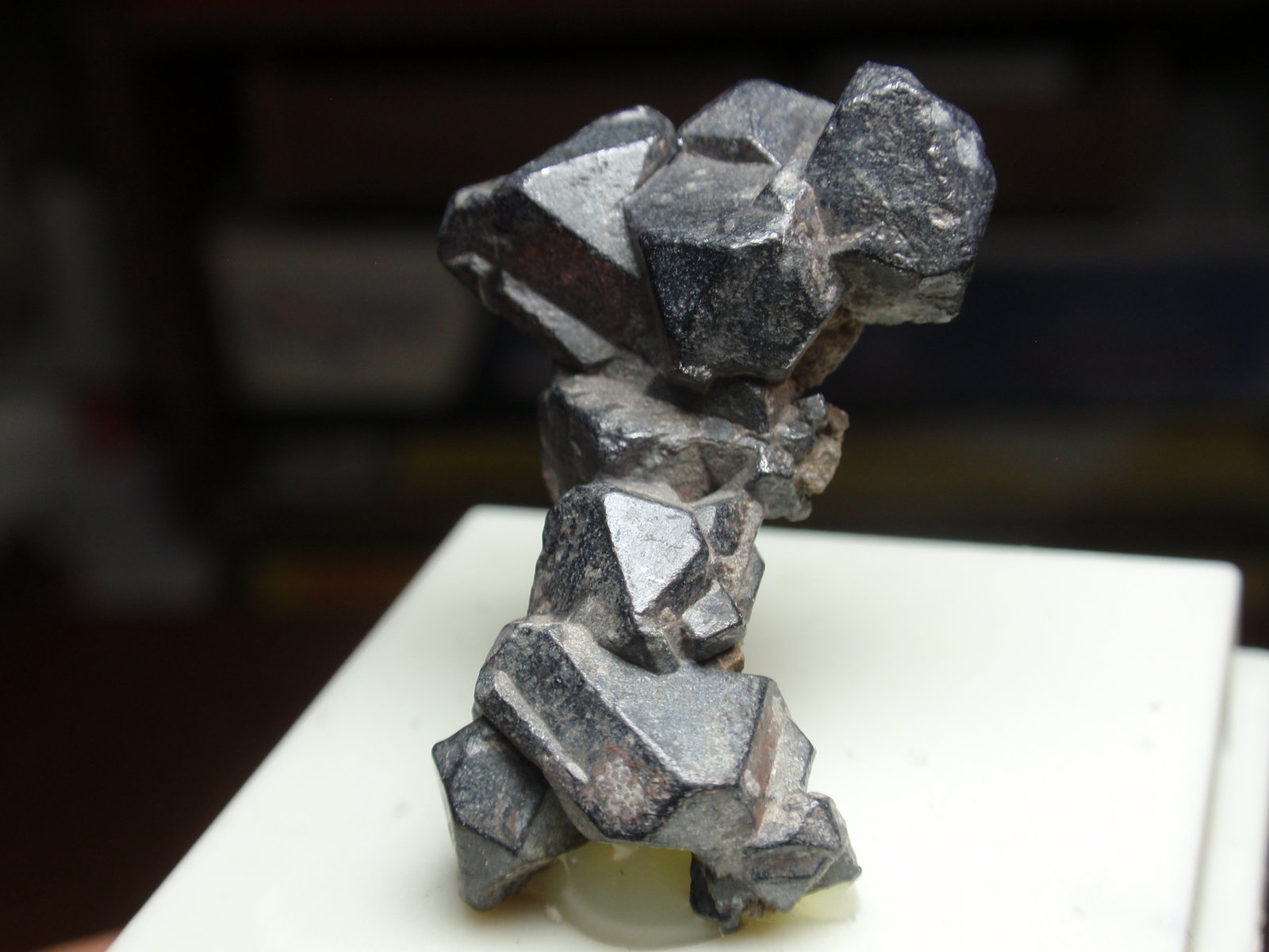 Galena
20x30 mm
(Autor: Ignacio)