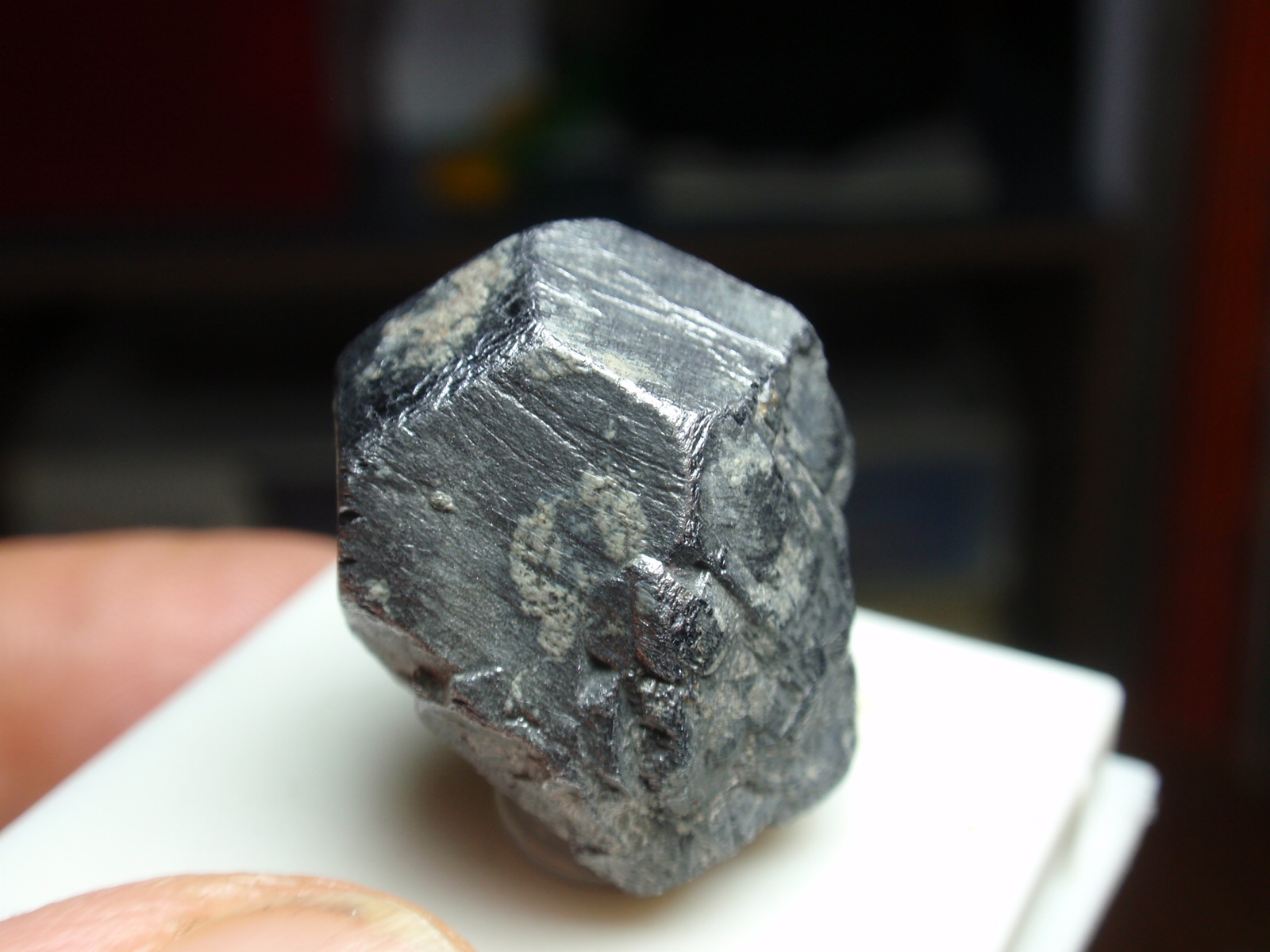 Galena
20x25 mm
(Autor: Ignacio)
