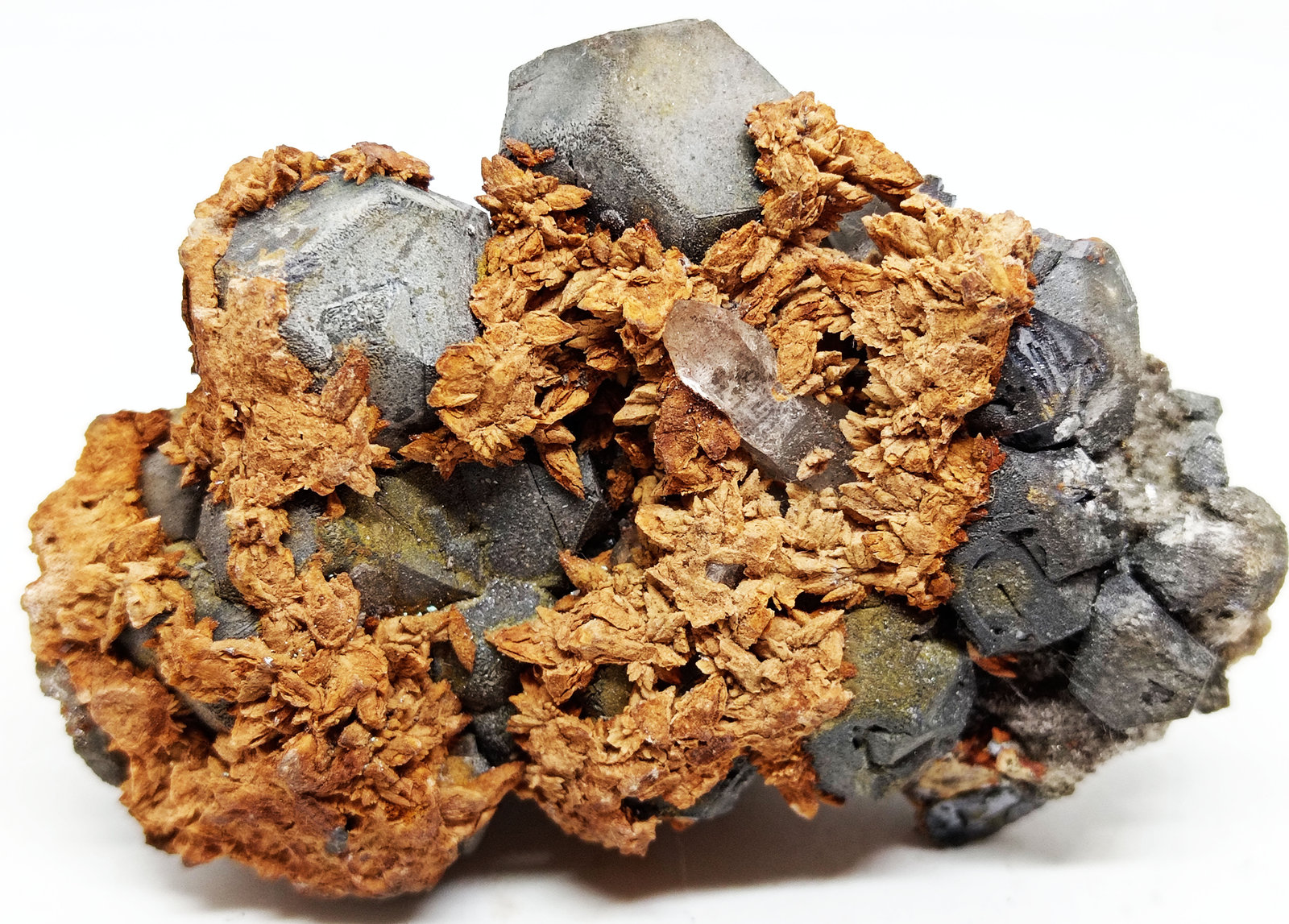 Galena
65x40x25 mm
(Autor: Luis Edmundo Sánchez Roja)
